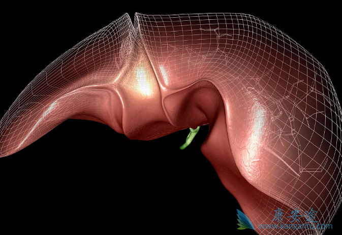 乐伐替尼 乐伐替尼