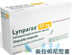 ��������(Lynparza)�������᲼�кܺõ�Эͬ���ú�������