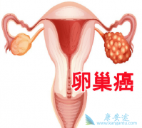 ��������(Olaparib)�����ѳ���ʱ�ǵ�����ҩ����������ҩ������