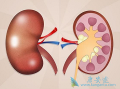 ��������/Ӣ��������ķ��������ʱ��������ܼ���Ϊ5mg