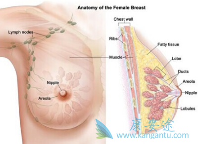 ���ٰ��ڷ�������