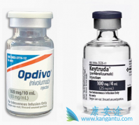 PD-1���Ƽ�������Ӧ������������PD-1���Ƽ�������Ӧ����Ч�Ĺ�ϵ