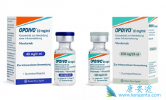 �ڹ���ʹ��PD-1����Opdivo��Keytruda����ǰ�Ƿ���Ҫ������ЧԤ��