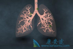 ���޿�(Tarceva)�Ĳ����¼�Ƥ�����������ҩ�ﷴӦ���