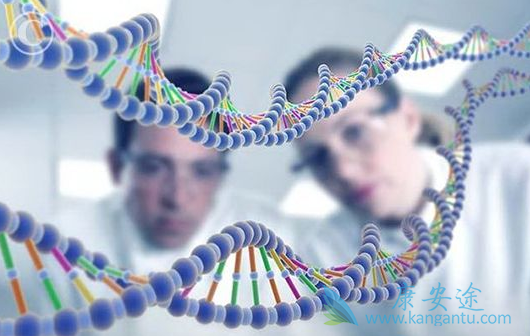 �����Ʒ�