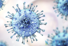 ��������(XL184)���Ʋ�ͬ��֢ʱ�ķ��÷���Ҳ��һ��