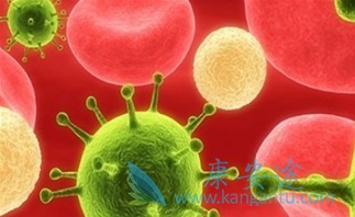 ����ŵ��