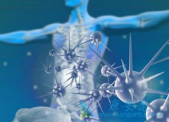 ̩��ɳ9291��ǿCYP3A���Ƽ�һ��ʹ�û���ʲô���