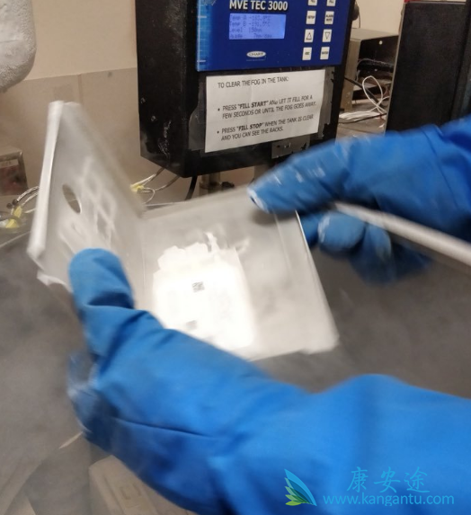 CAR-Tϸ���Ʒ�