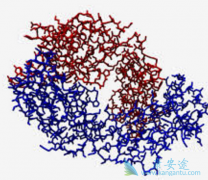 �����鵥��(Bevacizumab)�ǶԲ������е��ѳ������ߵ����Ʒ�