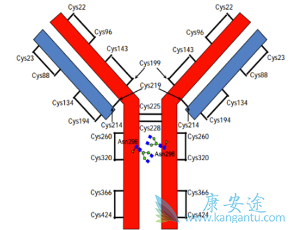 ��Ī«����