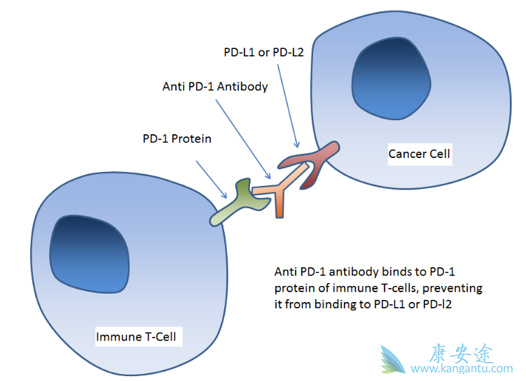 �������鵥��