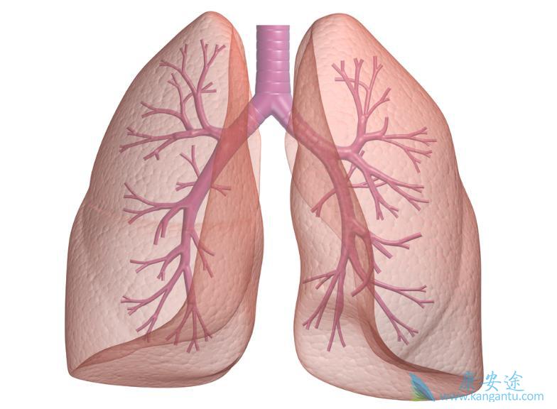 ����ά��