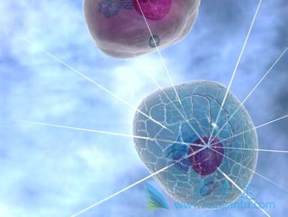 ��³����