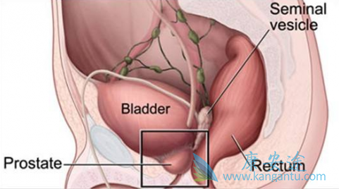 ����³��