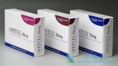 ��ɳ����(ʩ����)����ϵͳ��Ӳ��֢�����Էβ�����û�����Ե��ٴ���Ч