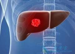 ����ҩ���ַ�����(lenvatinib)���Ƹΰ�Ч������