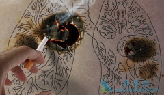 ���߷��ü�������/����ɳ���ë�쳣������Ҫ������