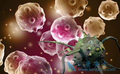 ��ϣ����