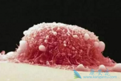 ����̩/������������˳�����ƹ�����������Ӧ����