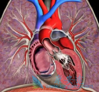 �ζ�����ѹ���߷��ð�����̹Ƭ/������ܸ����˶�������