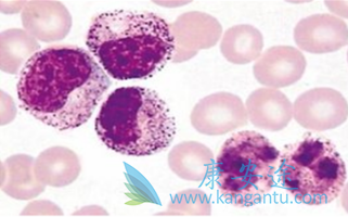 �����׵�