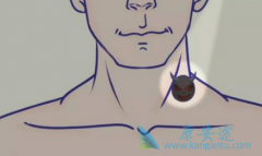 ���䵥��/ŷ������������ת�Ƶĺ�ɫ����������