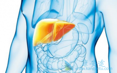 ӡ��NATCO���ƵĶ༪��(SORAFENIB)�۸񲻺��з�����