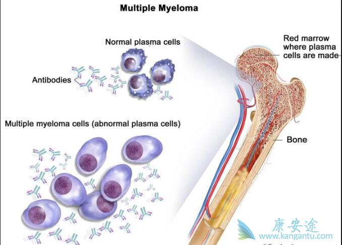 �෢�Թ�����֢״