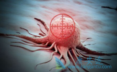 ����(VELCADE)��������˾����������Tϸ���ܰ���Ч������