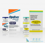 ���߼������Ƽ�Opdivo����Yervoy������ת�ƺ�ɫ����Ч������