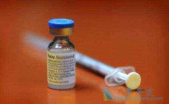 Сϸ���ΰ��ͷ�Сϸ���ΰ����ַΰ����Ʒ����кβ�ͬ