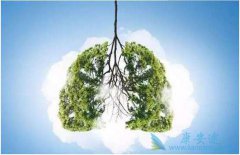 Ԥ���ΰ�����Ҫ�Ӿ��������������������