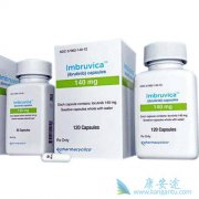 �������ط��Ծ��򵰰�Ѫ֢��������³����(Ibrutinib)������