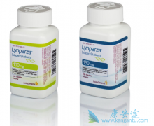 PARP���Ƽ���������Ӧ֢�����и����ѳ�����ά��������ʲô��˼