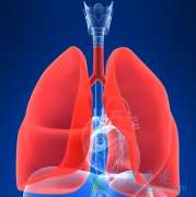 PD-L1����Tecentriq�����ڷ�Сϸ���ΰ�������