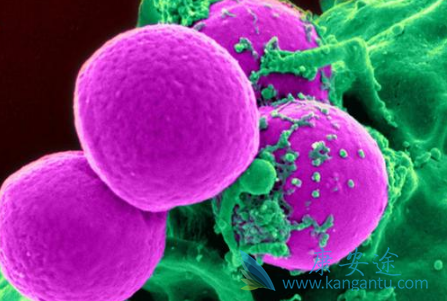 ��ɳ����