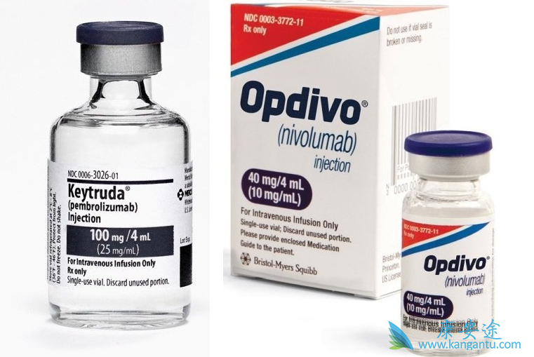 ���߼������Ƽ�