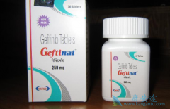 ӡ������ɳ(GEFINAT)�ɽ���ѪҺ���Ժ��񾭶��Եķ�����