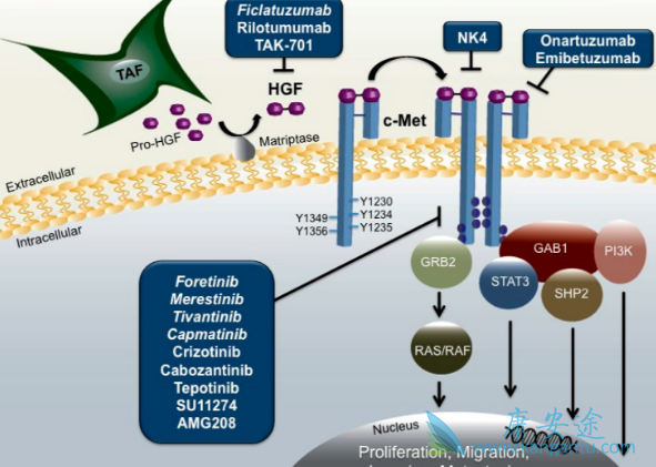 ��Сϸ���ΰ�