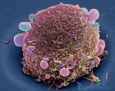 ��������/��̹�Է��ٰ�������Ч�����緲������