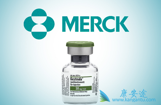 ��ɫ����