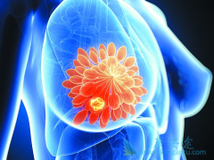 �������ٰ������ں���͡(Herceptin)�����ڼ䲻��Ƶ�����LVEF