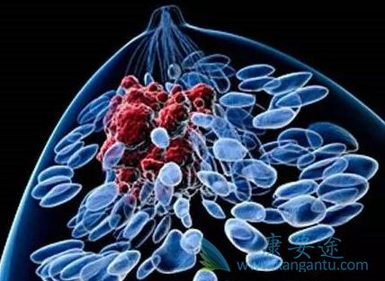 ��ɳ����