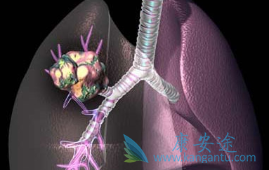 ��Ī«����