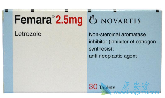 ������Ƭ