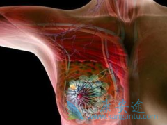 ������Ƭ(Femara)���ϴ�ɳ�����ʹ���ٰ����߼�����չʱ���ӳ�һ��