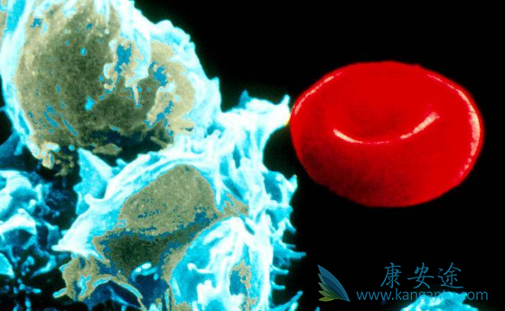 达沙替尼 达沙替尼