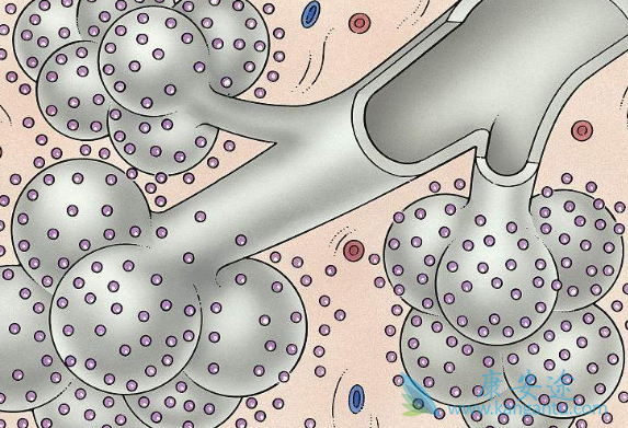 �ط��Է���ά��