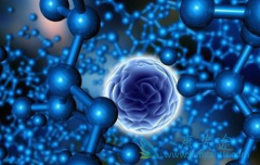 CD19 CARTϸ���Ʒ�����������Tϸ��������ֳ�ķ���